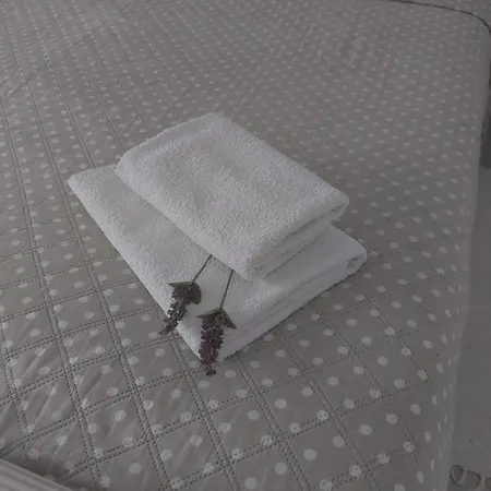 Martina Sun 扎达尔